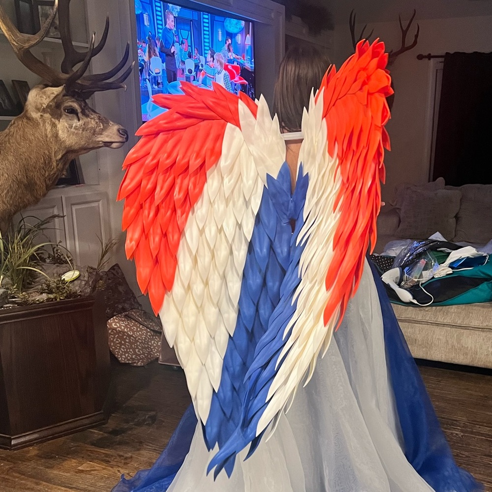 Red, white and blue wings